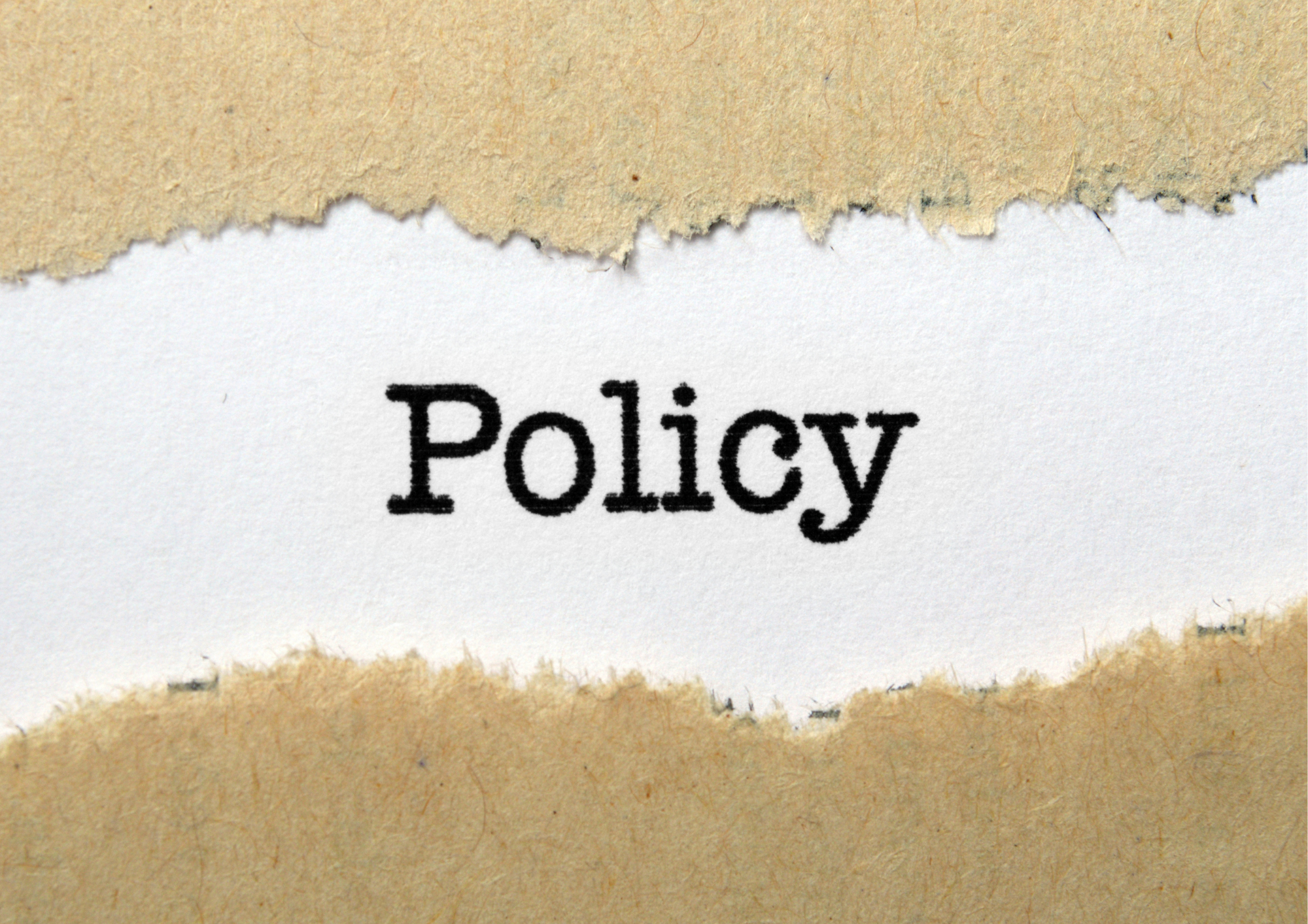 Social Media Policy Template