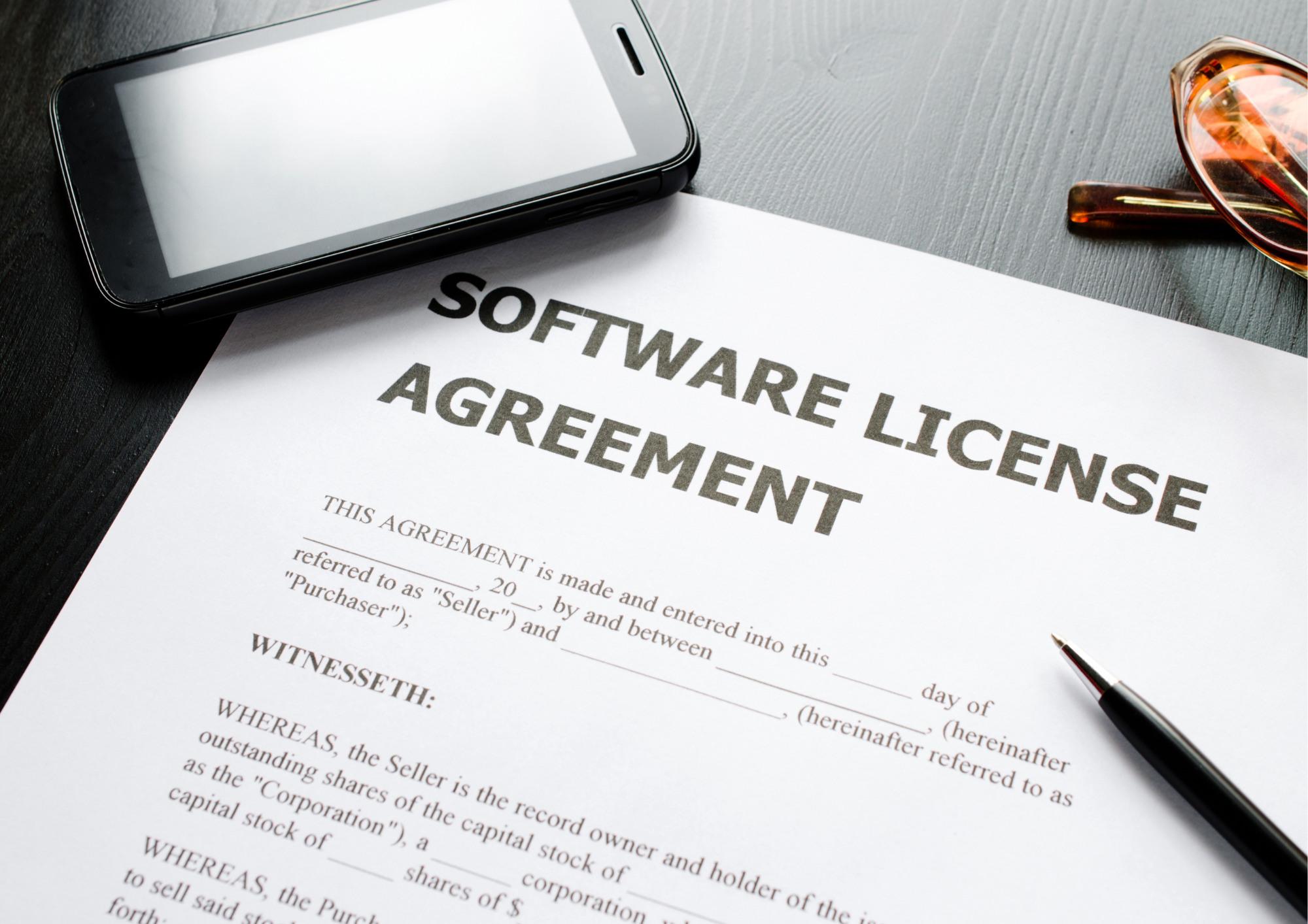 Software License Template