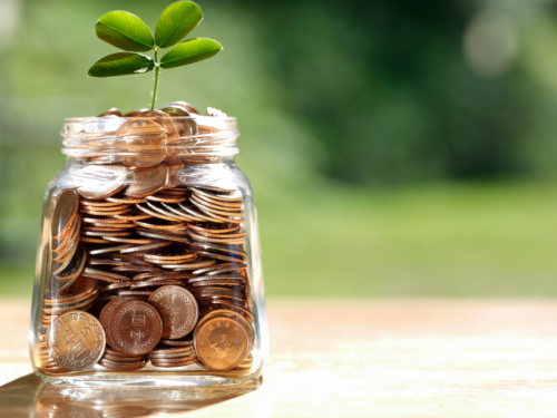 Statement of Wealth Form Template: Clearly Present Your Net Worth and Source of Funds